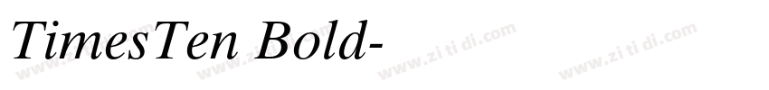 TimesTen Bold字体转换